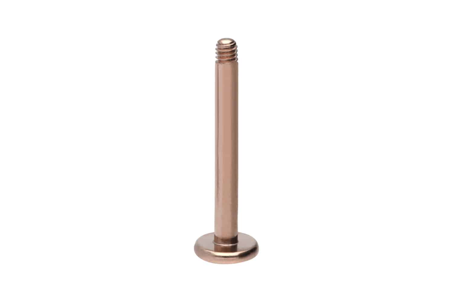 Titan Labret Piercing ohne Kugel